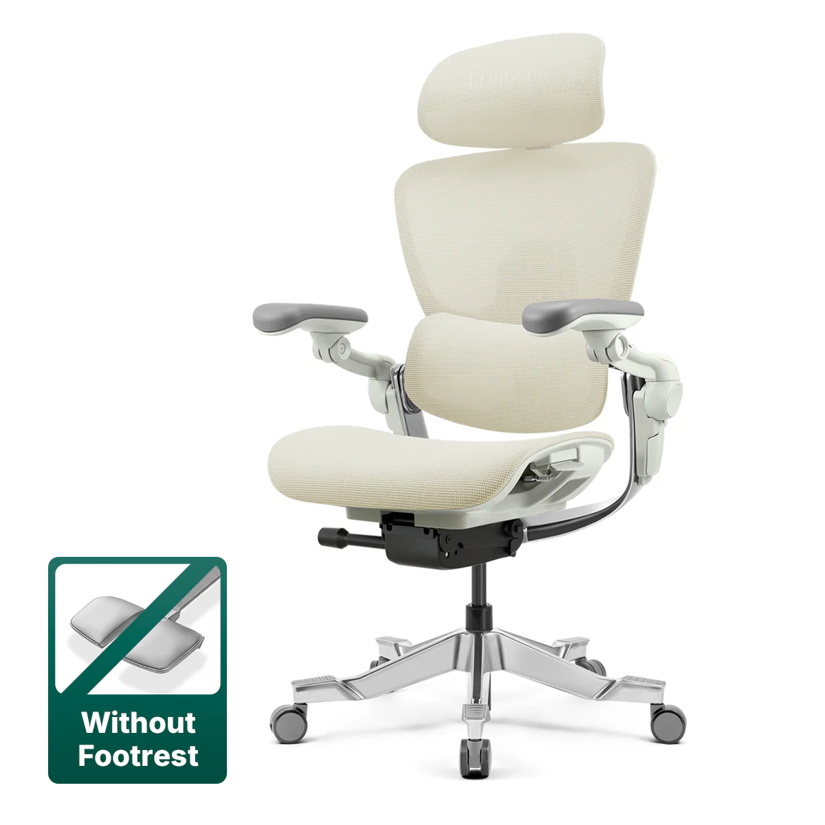 Hinomi H2 Pro Ergonomic Office Chair with Selectable Footrest - Image 22