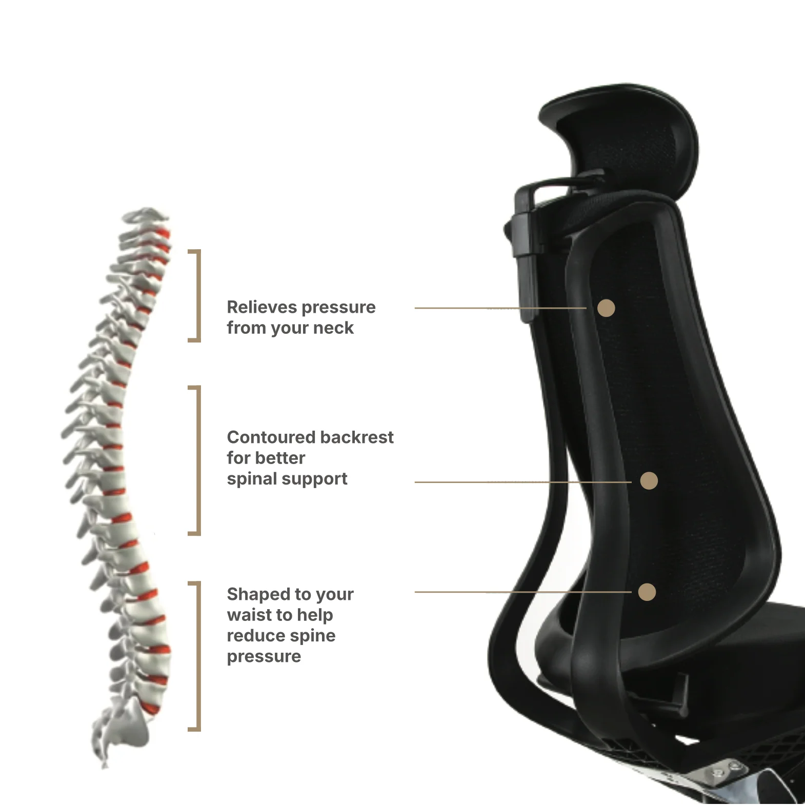 Hinomi Nest Ergonomic Office Chair - Image 3